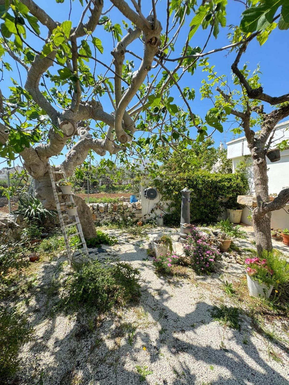 Trulli Resort Aia Piccola Альберобелло Екстер'єр фото