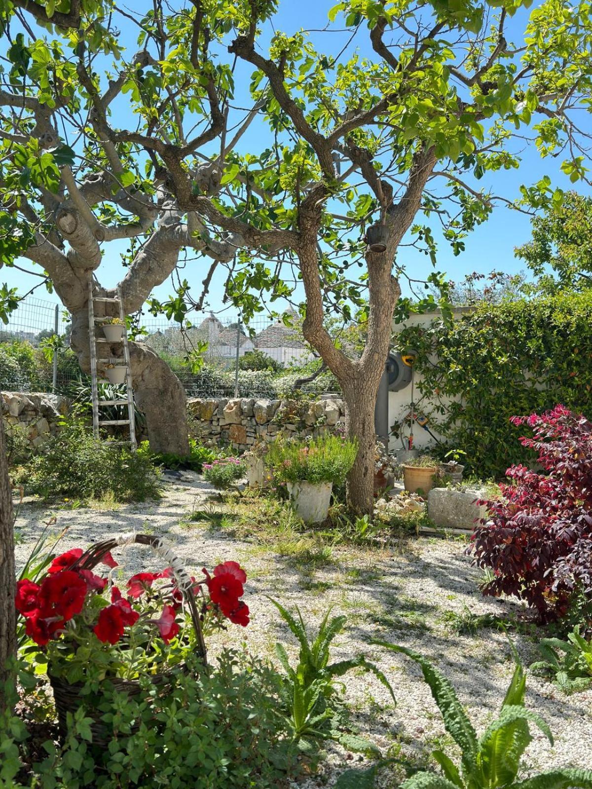 Trulli Resort Aia Piccola Альберобелло Екстер'єр фото